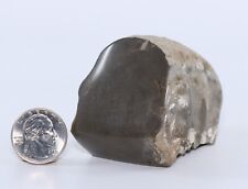 Partial Huge Ammonite 279g Southern Utah UT COA 6378 picture
