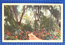 Vintage c1930's At Grimble's Point The Forest City Savannah GA Postcard picture