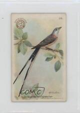 1922 Arm & Hammer Useful Birds of America Series 3 #29 0l4h picture