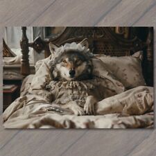 POSTCARD Wolf Dressed As Grandmother Fairytale Red Riding Hood Bed Funny Weird picture