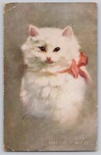 1907-15 Postcard Fuzzy Wuzzy White  Cat Art Print picture
