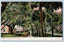 Daytona Florida FL Postcard Magnolia Street Residence Section Scene 1907 Antique picture