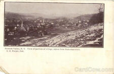 Newark Valley,NY Tioga County New York G.E. Purple Antique Postcard Vintage picture