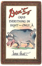 c1909 Tuck No. 165 ~ A/S Dwig ~ Knocks Witty & Wise ~ Vintage Comic Pig Postcard picture