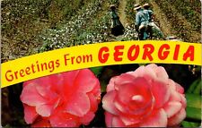 Greetings From Georgia Banner Dual View Camellia Cotton Picking Time Postcard 7N picture