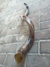 Kudu Horn  Full Polished Jewish Shofar 42-44 INCHES ✡Free Shipping from Israel✡ picture