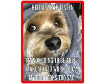 Funny Dog Yorkie Yorkshire Looks Sad  Fridge  / Tool Box Magnet picture
