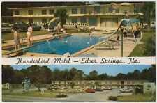 Thunderbird Motel, Silver Springs, Florida picture