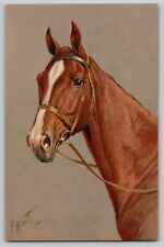 Horse Portrait Artist Signed Jean Rivst Vtg Stehli Postcard c 1910s No. 150 picture