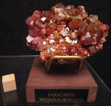* A+++ Gem Quality Astounding Large Vanadinite Crystals Mibladen Morocco picture