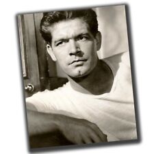 Stephen Boyd Celebrities Vintage Retro Photo Glossy Big Size 8X10in T092 picture