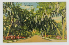 Barton Avenue Rockledge Florida Postcard Linen Unposted picture