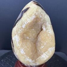 Natural Dragon Septarian Geode Egg Quartz Crystal Rock Reiki Healing 1210G picture