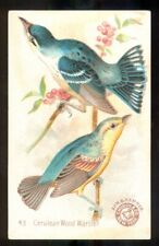 1896 CERULEAN WOOD WARBLER Bird Card ARM & HAMMER Soda J2 CHURCH & DWIGHT #43 picture