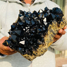 6000g Large Rarely Seen Black Quartz Pineapple Crystal Cluster Rough Specimen picture