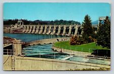 Fish Ladder & Bonneville Dam In Oregon Columbia River Vintage Postcard 0807 picture
