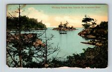 Whiskey Island NY, Saint Lawrence River, New York c1909 Vintage Postcard picture