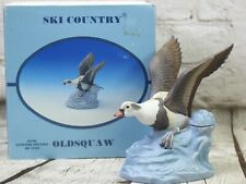 Vintage Ski Country Ceramic Whiskey Decanter Oldsquaw Duck Liquor 50ml Empty picture