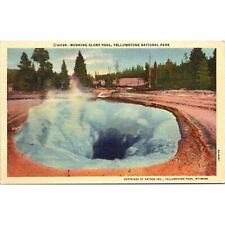 Mornning Glory Pool Vintage Postcard Yellowstone National Park Wyoming picture