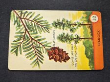 1962 Ed-U-Cards Tree Spotter Game Card  # 32 Hemlock (NM) picture