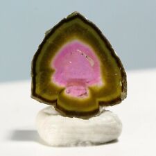 2.60ct Watermelon Tourmaline Slice Crystal Afghanistan Crystal Gem Mineral A44 picture