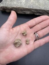 Small Fairy Stone Staurolite Crystal Lot Of 3 From Patrick County Virginia #6 picture