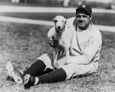 New York Yankees BABE RUTH with Dog Glossy 8x10 Photo Print Poster HOF 36 picture