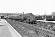 PHOTO BR British Railways Steam Locomotive Class A4 60020 at Selby in 1959 picture