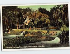 Postcard De Leon Springs Showing Outlet Near Le Land Florida USA picture