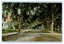 1908 Ocean St. From Wave Street Trees Lynn Massachusetts MA Antique Postcard picture