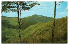 Vintage Cold Mountain Pisgah National Forest NC Postcard Unposted Chrome picture
