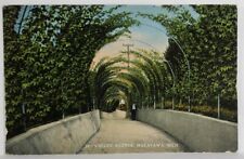 Macatawa Michigan View on Valley Avenue Postcard T13 picture