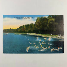 Postcard Michigan Niles MI Baron Lake Swimming 1940s Linen Unposted picture