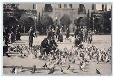 c1960's Pigeons Scene Plaza De Panama San Diego CA Unposted Vintage Postcard picture