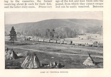 1893 COLUMBIA RIVER The Dalles OR Umatilla Indians Celilo Falls Memaloose Island picture
