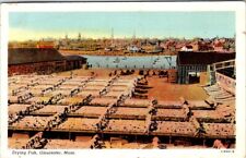 Drying Fish, GLOUCESTER, Massachusetts Postcard - Curt Teich picture