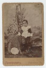 Antique Circa 1880s Cabinet Card Incredibly Adorable Boy Suit Williamstown, PA picture