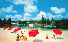 Weeki Wachee Florida, Beach Sunbathers Umbrellas Swimmers, Vintage Postcard picture