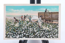 Postcard Arizona Picking Cotton Harry Herz 1932 C.T. American Art Colored Posted picture