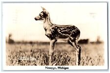 1938 Deer Field Newaygo Michigan MI RPPC Photo Posted Vintage Postcard picture