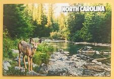 Postcard NC: Deer. Beauty Of North Carolina  picture