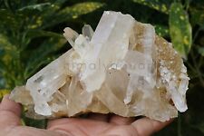 510 gm Large Natural white Crystal Samadhi quartz cluster Mineral Specimens picture