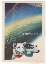 1962 SPACE DOG Belka & Strelka Cosmos rocket Original Russian Photo postcard OLD picture