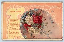 Vining Minnesota MN Postcard Language Of Flowers Forget Me Not 1909 Antique picture