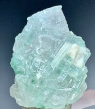 138 Carat Tourmaline Crystals On Quartz Specimen From Afghanistan picture