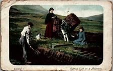 c1910 IRELAND CUTTING TURF ON A MOUNTAIN DOG CHILDREN EARLY POSTCARD 34-299 picture