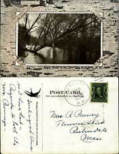 Sugar River in the Intervale Newport New Hampshire 1907 F.W. Swallow birch bark picture