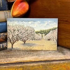 Vintage 1941 Greetings Linen Postcard Vintage Ephemera Cherry Tree Blossoms Mich picture