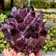 1.11LB   Newly Discovered Purple  Phantom Quartz Crystal Cluster Minerals picture