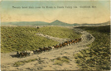 Antique Postcard with twenty head mule team going to Death Valley from Goldfield picture